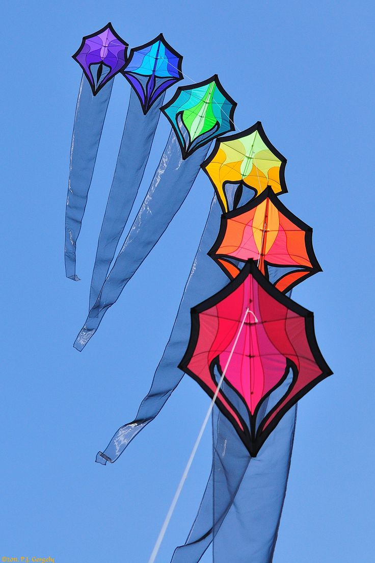 Traditional colorful kite